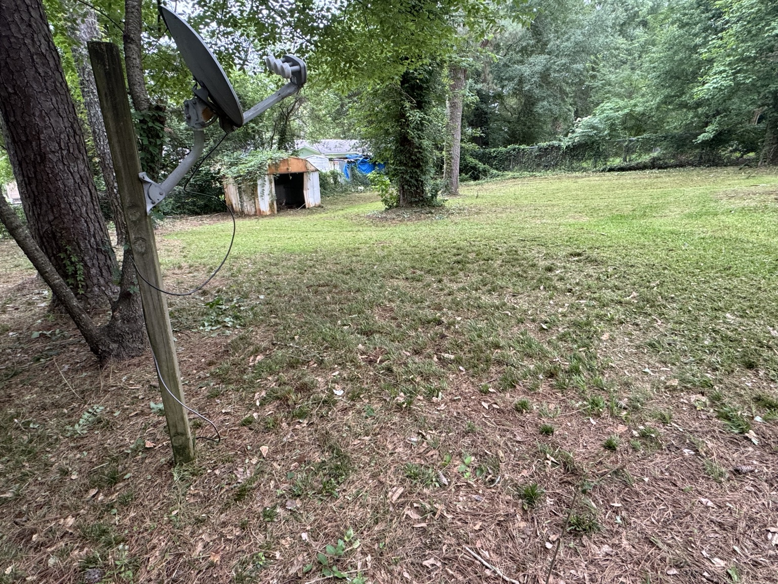 Wide view of backyard after mowing in Jackson Mississippi