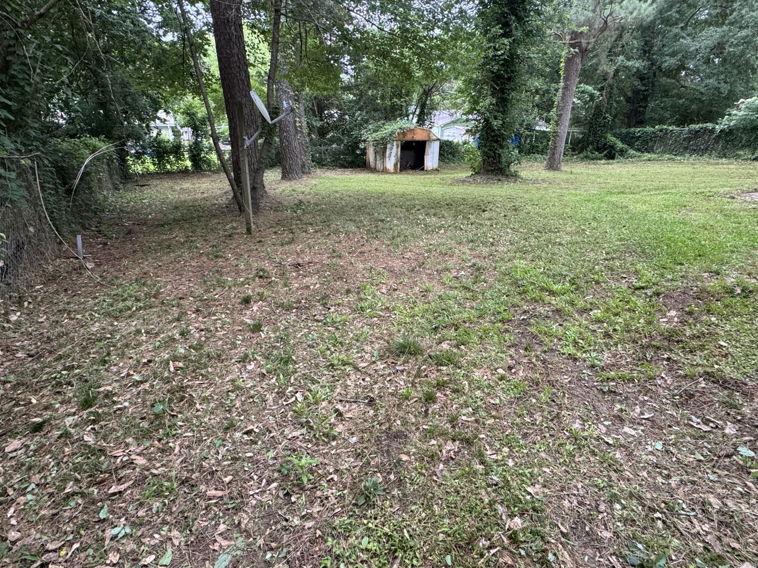 Backyard after overgrown lawn mowing in Jackson Mississippi