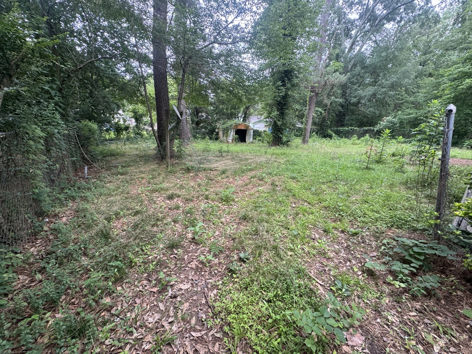 Overgrown backyard before mowing in Jackson Mississippi