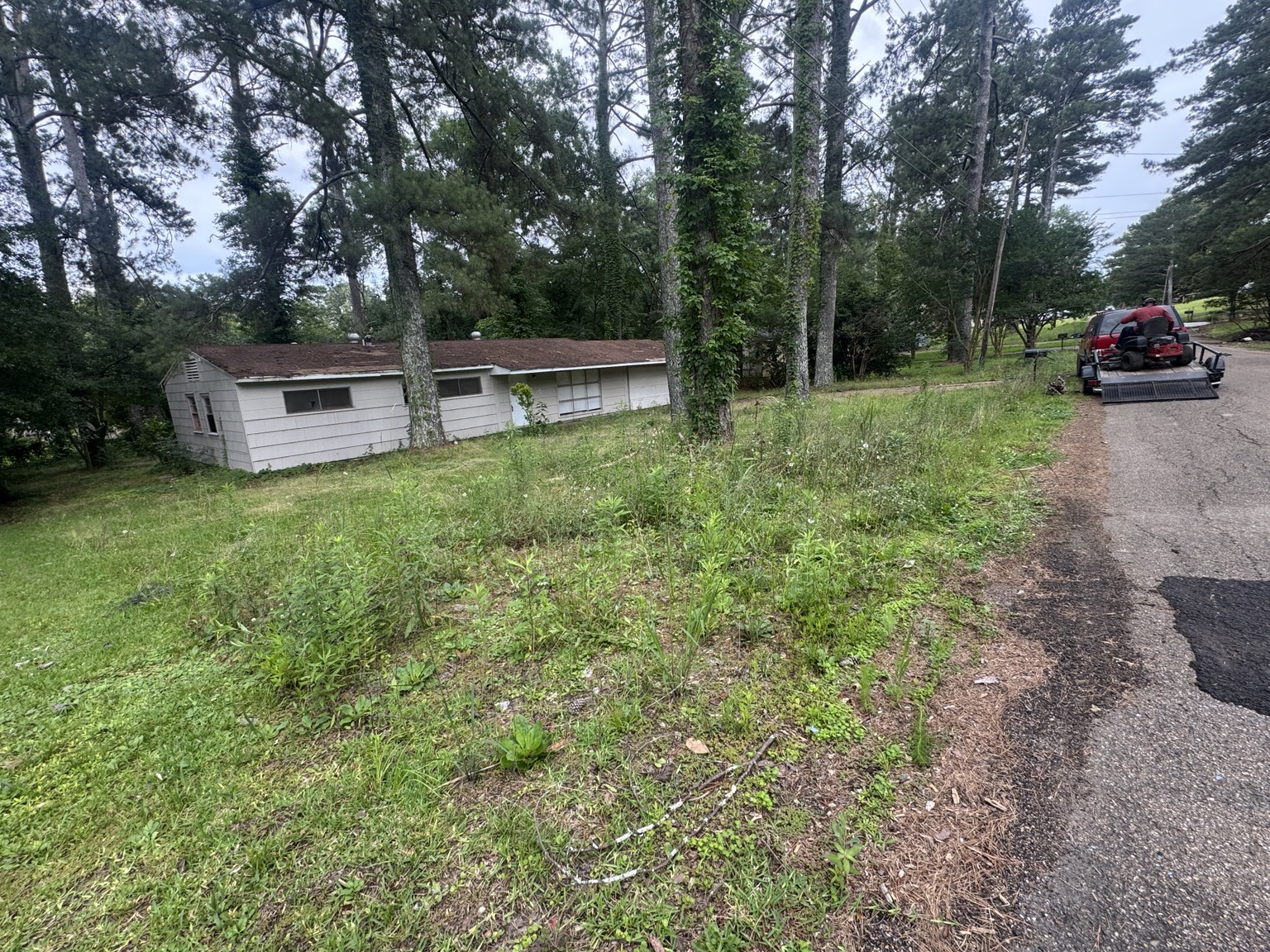 Wide view of overgrown front lawn before mowing in Jackson Mississippi