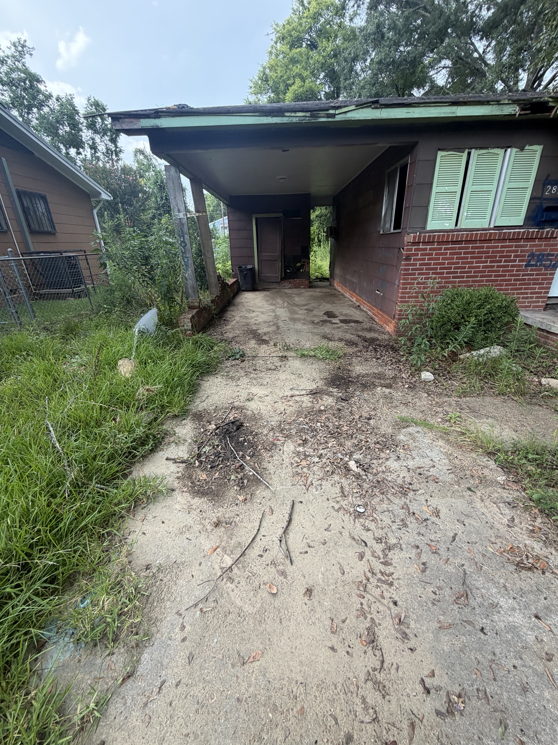Overgrown driveway and side yard before cleanup in Jackson Mississippi