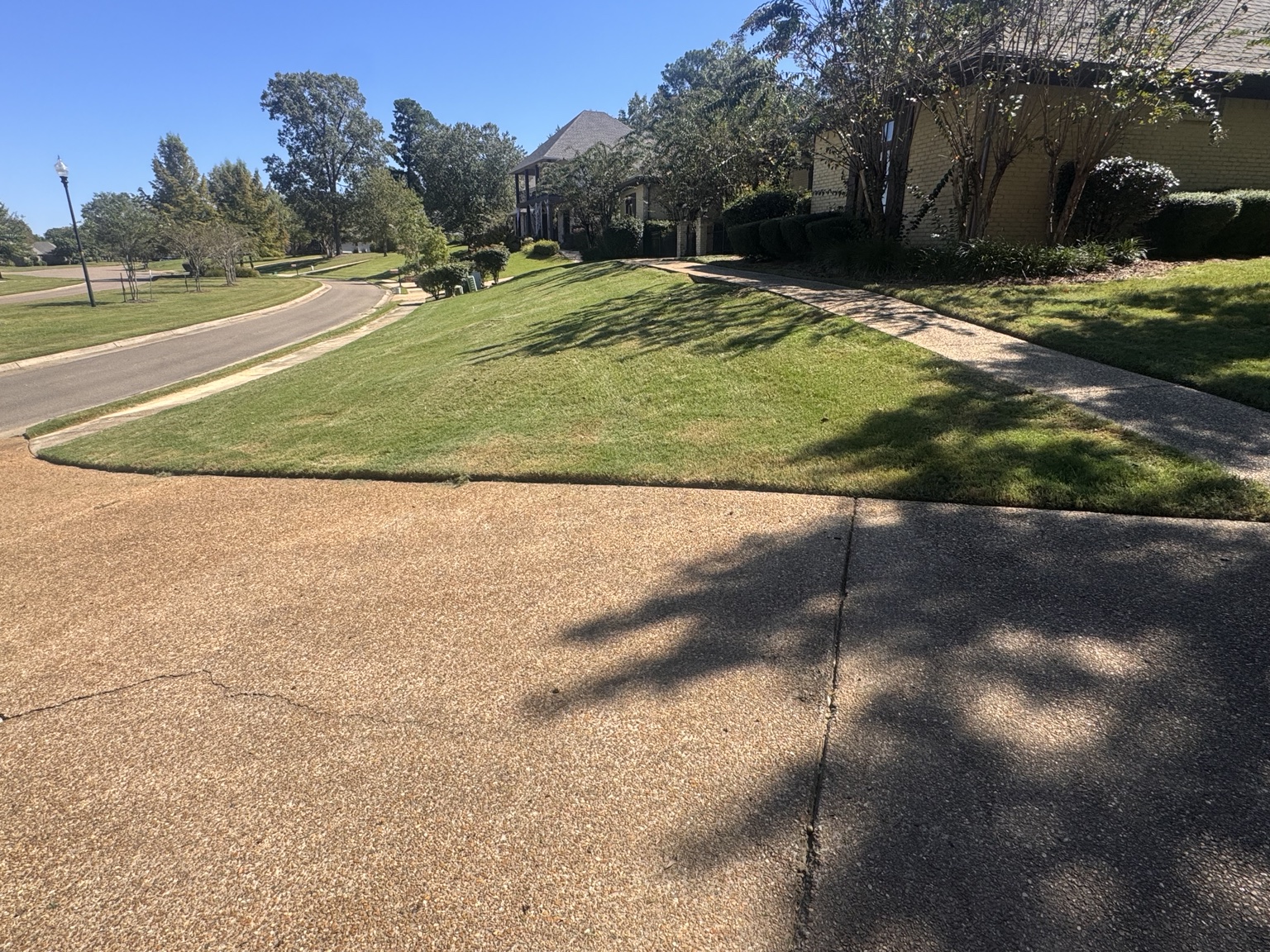 Madison Mississippi lawn mowing and edging project view 2