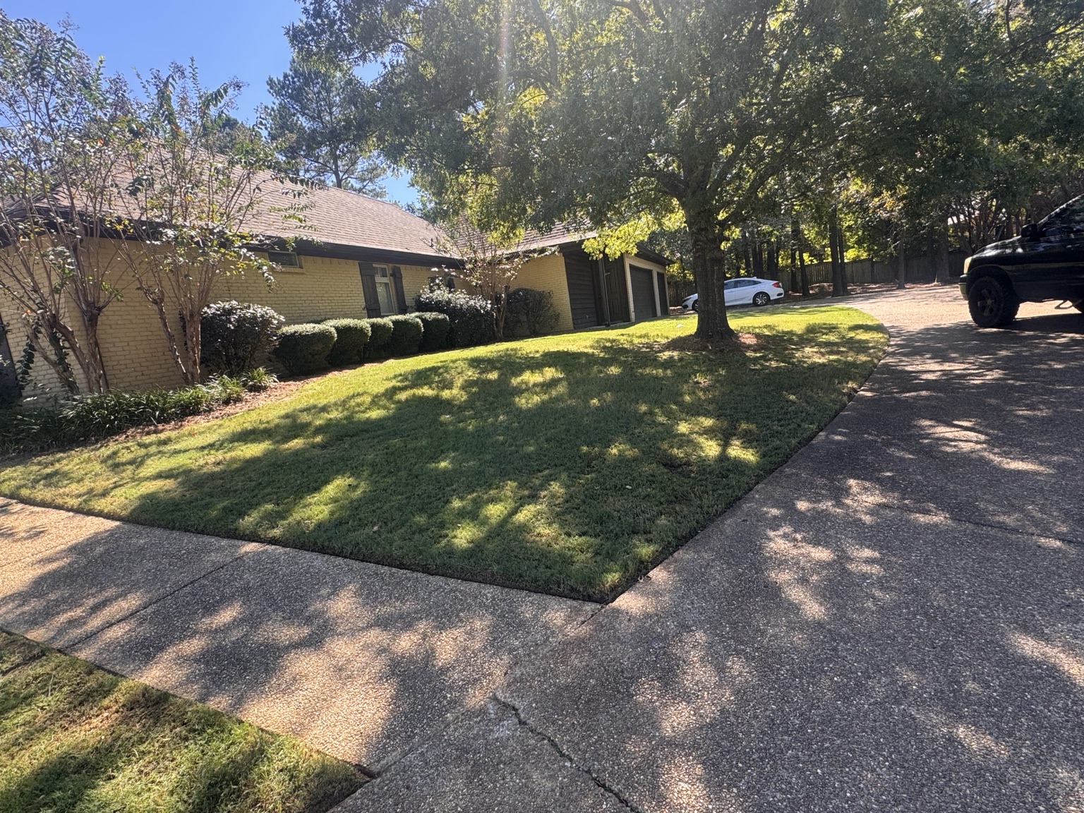 Madison Mississippi lawn mowing and edging project view 3