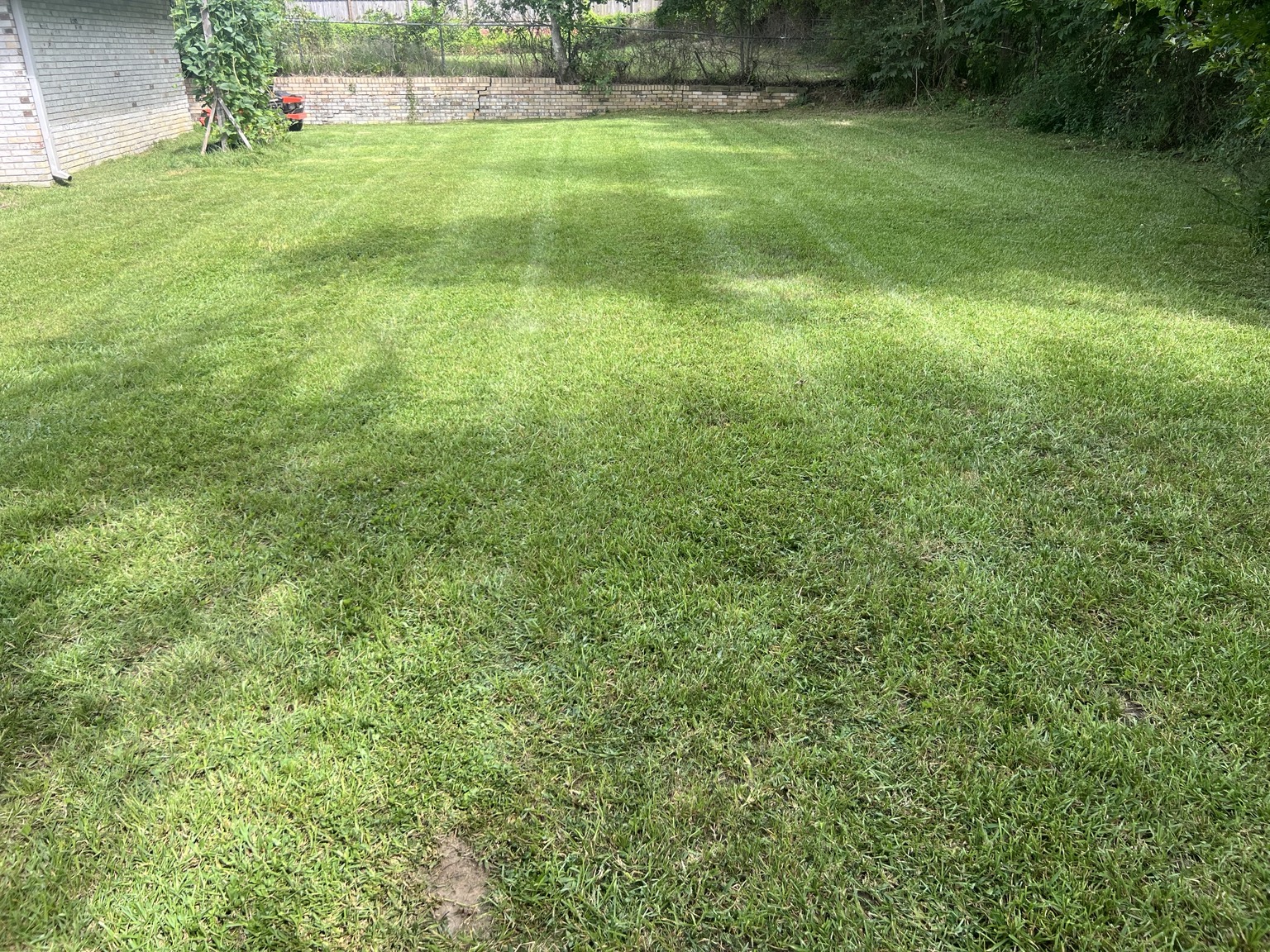 Backyard Maintenance completed by Advanced Lawn Providers