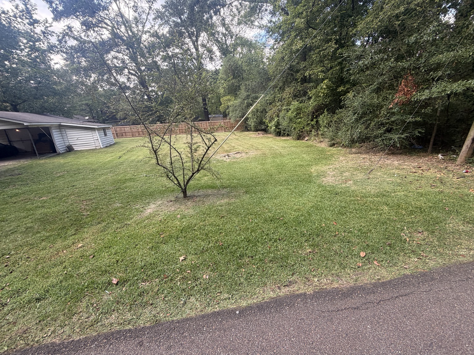 Maintained backyard after biweekly lawn mowing service in Ridgeland MS
