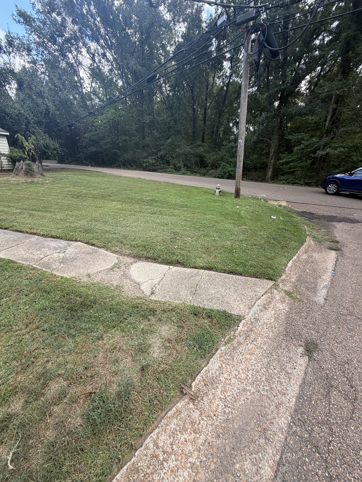 Biweekly Lawn Mowing in Ridgeland, MS by Advanced Lawn Providers in Central Mississippi