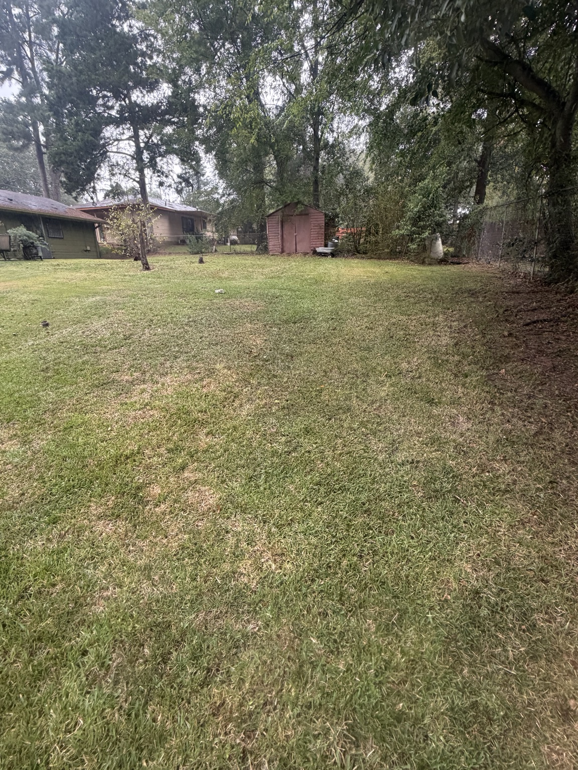 Trimmed grass around a backyard shed during lawn mowing service in Jackson MS