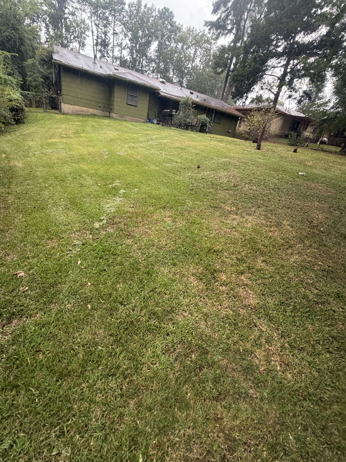 Maintained backyard after recurring lawn mowing service in Jackson Mississippi