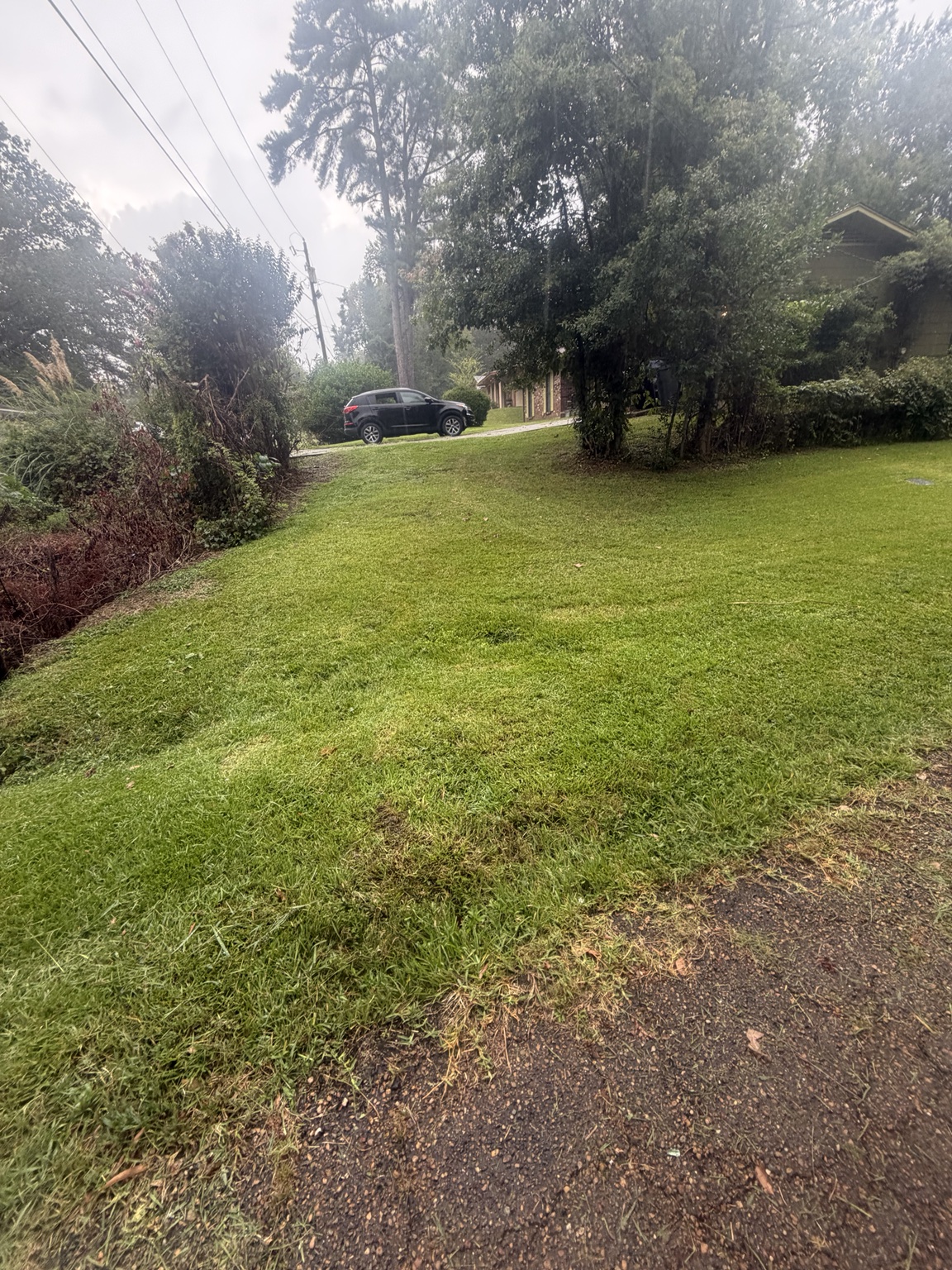 Evenly cut side yard after professional lawn mowing in Jackson MS