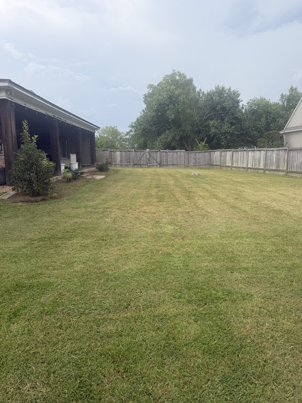 Freshly maintained backyard beside a covered patio in Madison Mississippi
