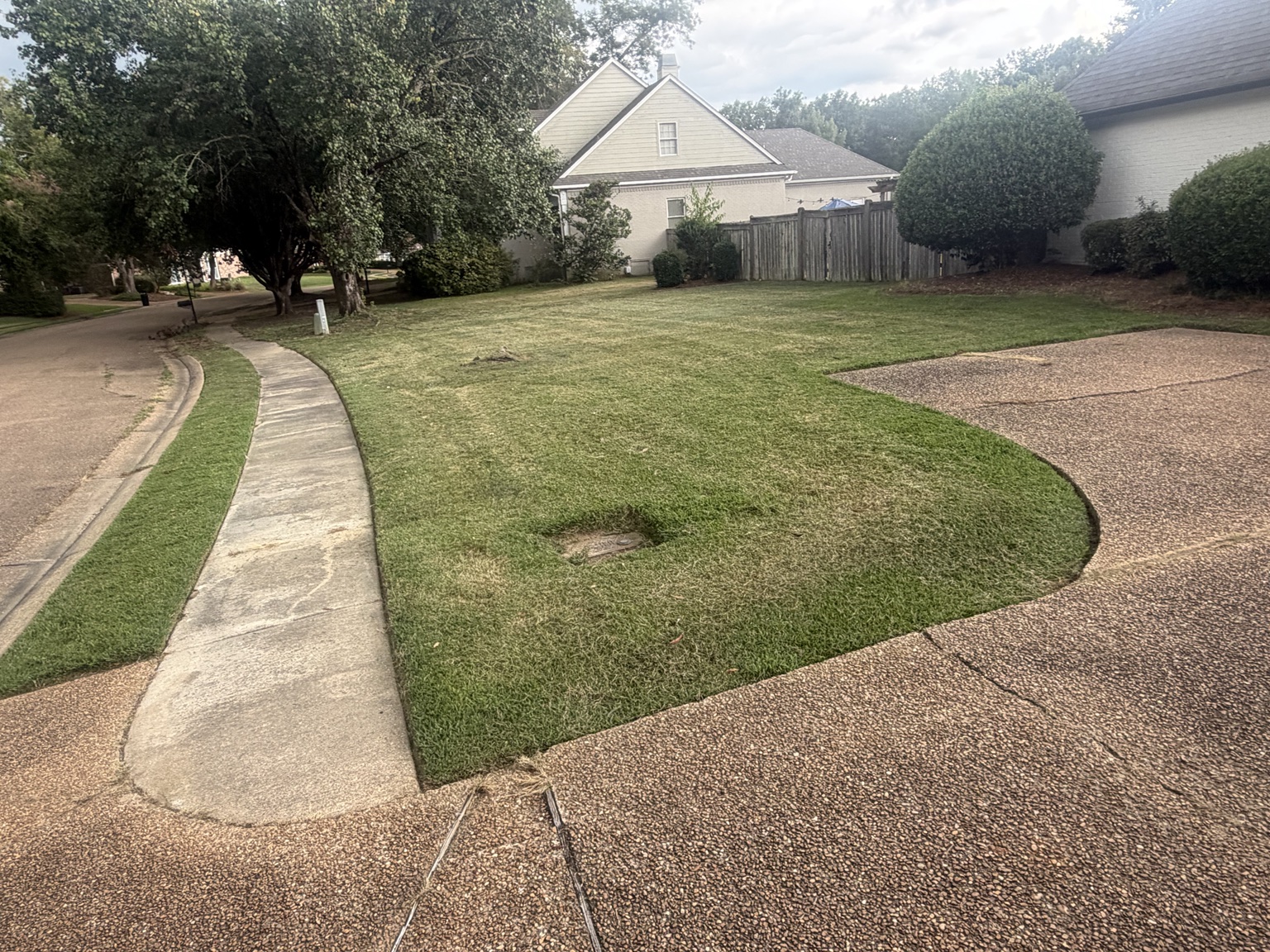 Clean grass edge along a driveway after professional lawn mowing in Madison Mississippi