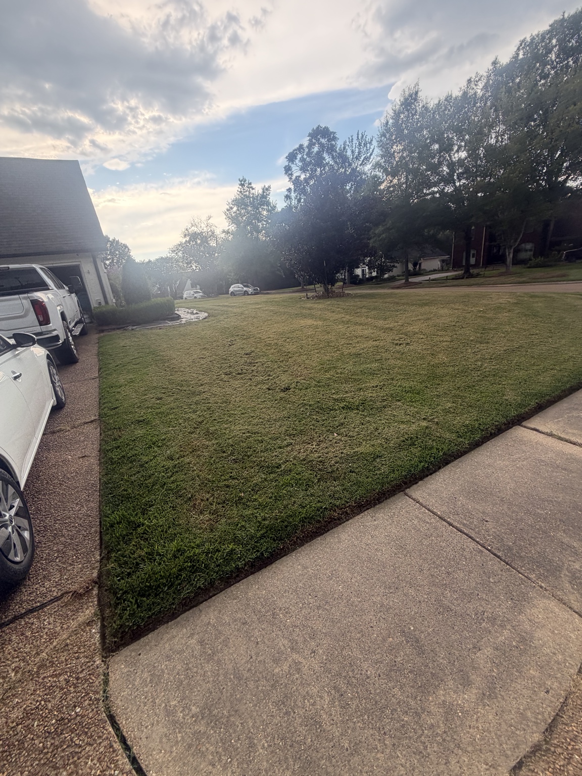Evenly cut front yard for a recurring lawn mowing customer in Madison MS