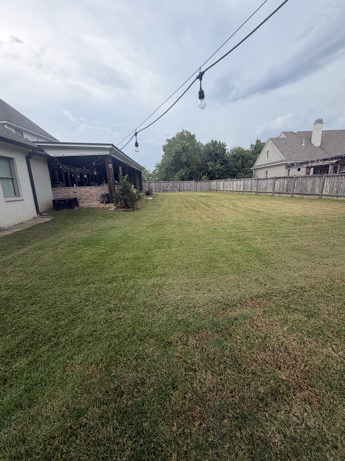 Wide backyard with an even cut from weekly residential lawn mowing in Madison MS